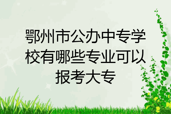 鄂州市公办中专学校有哪些专业可以报考大专