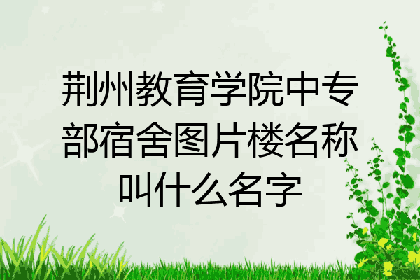 荆州教育学院中专部宿舍图片楼名称叫什么名字