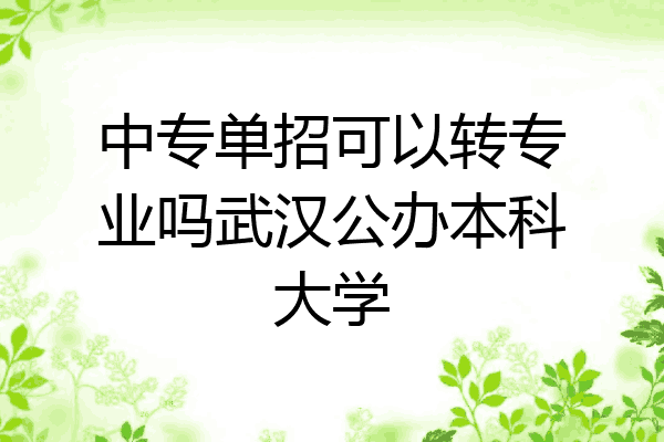 中专单招可以转专业吗武汉公办本科大学