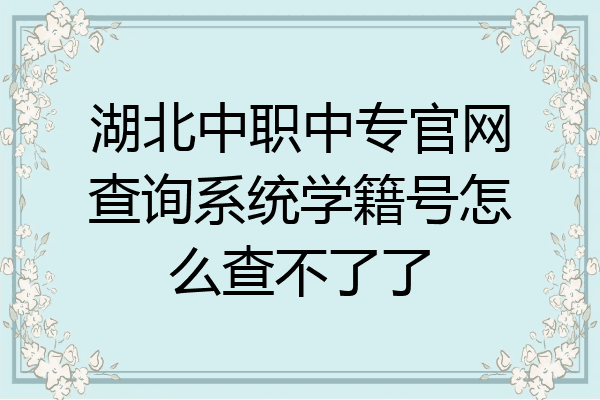 湖北中职中专官网查询系统学籍号怎么查不了了