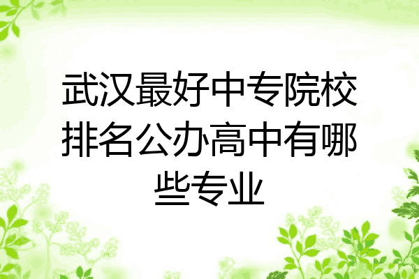 武汉最好中专院校排名公办高中有哪些专业