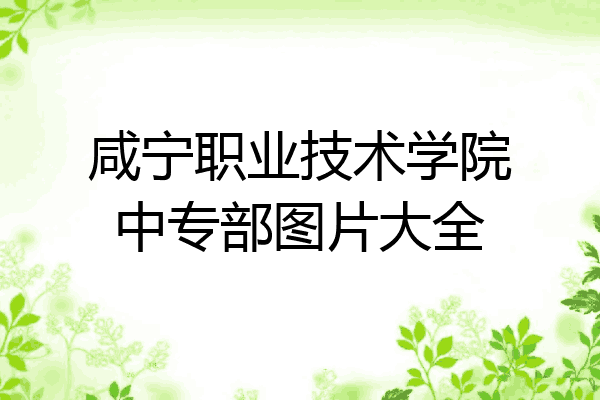 咸宁职业技术学院中专部图片大全