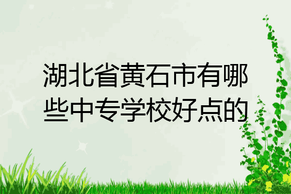 湖北省黄石市有哪些中专学校好点的