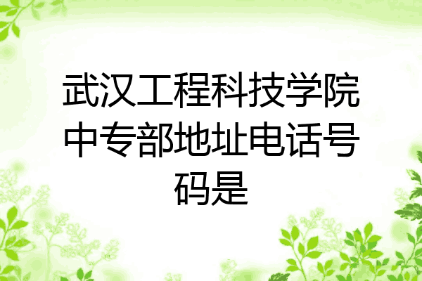 武汉工程科技学院中专部地址电话号码是
