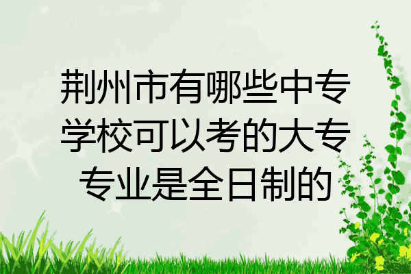 荆州市有哪些中专学校可以考的大专专业是全日制的