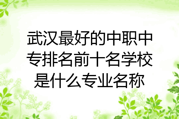 武汉最好的中职中专排名前十名学校是什么专业名称