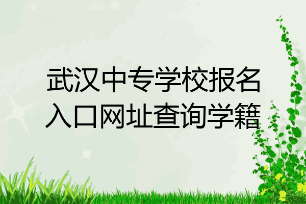 武汉中专学校报名入口网址查询学籍