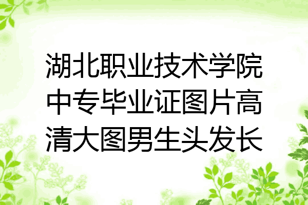 湖北职业技术学院中专毕业证图片高清大图男生头发长