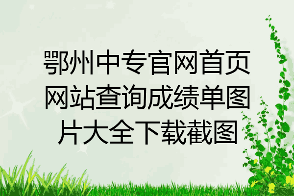 鄂州中专官网首页网站查询成绩单图片大全下载截图