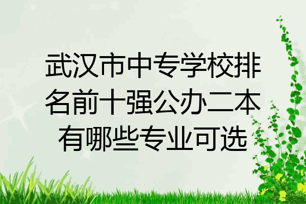 武汉市中专学校排名前十强公办二本有哪些专业可选