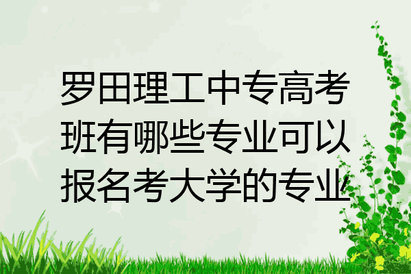 罗田理工中专高考班有哪些专业可以报名考大学的专业