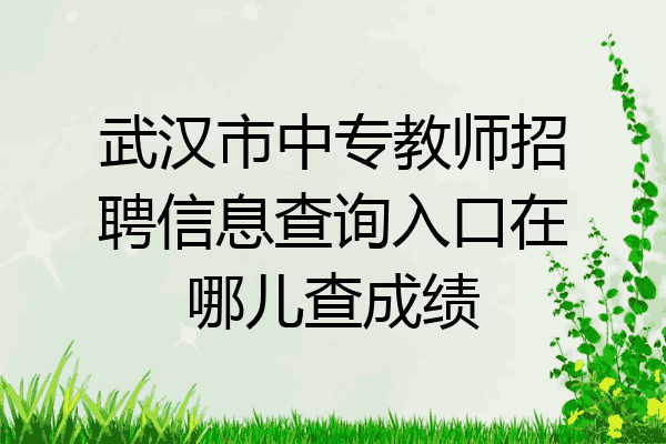 武汉市中专教师招聘信息查询入口在哪儿查成绩