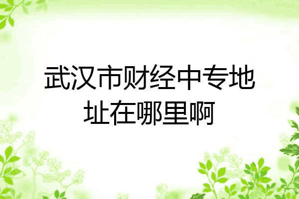 武汉市财经中专地址在哪里啊