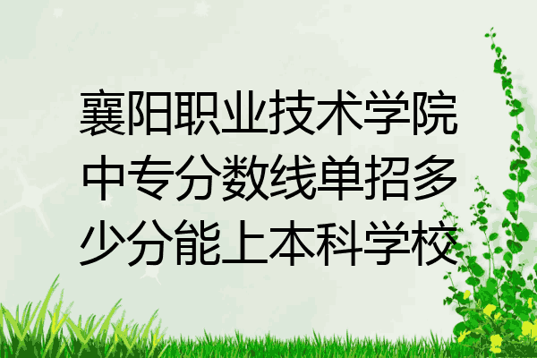 襄阳职业技术学院中专分数线单招多少分能上本科学校