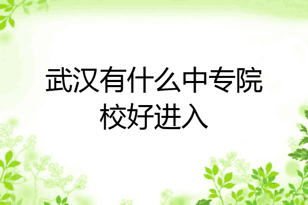 武汉有什么中专院校好进入