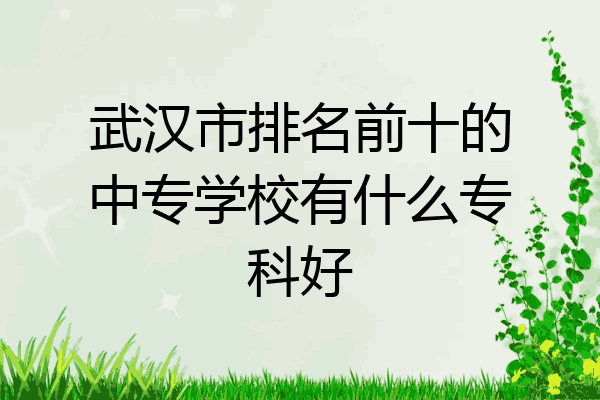 武汉市排名前十的中专学校有什么专科好
