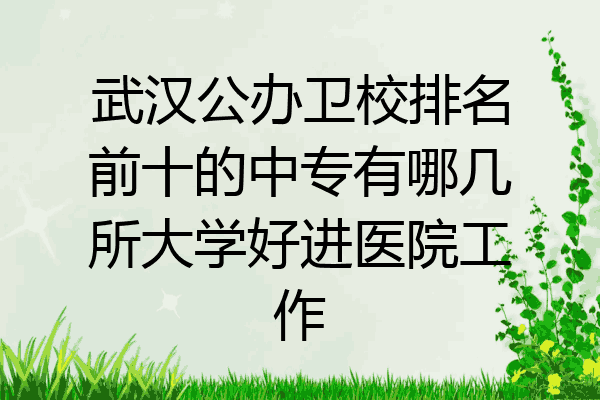武汉公办卫校排名前十的中专有哪几所大学好进医院工作