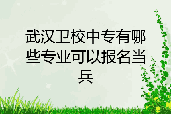 武汉卫校中专有哪些专业可以报名当兵