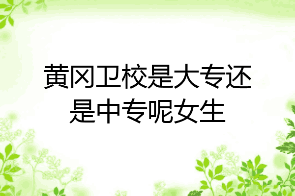 黄冈卫校是大专还是中专呢女生