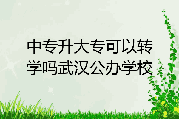 中专升大专可以转学吗武汉公办学校