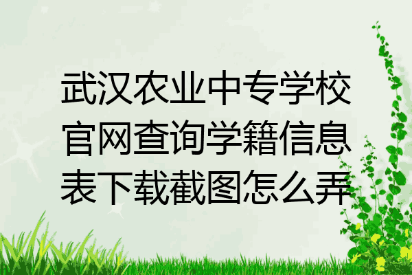 武汉农业中专学校官网查询学籍信息表下载截图怎么弄