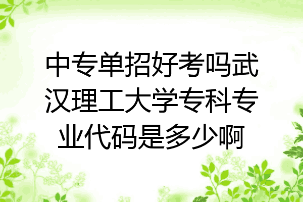 中专单招好考吗武汉理工大学专科专业代码是多少啊