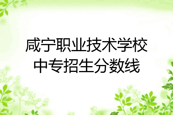 咸宁职业技术学校中专招生分数线
