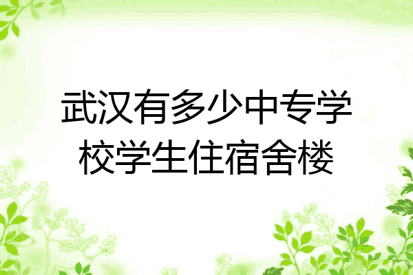 武汉有多少中专学校学生住宿舍楼