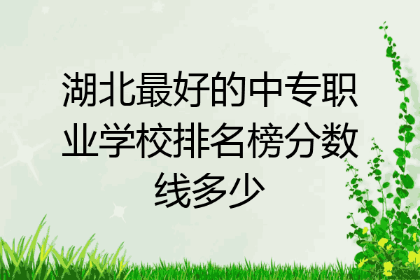 湖北最好的中专职业学校排名榜分数线多少