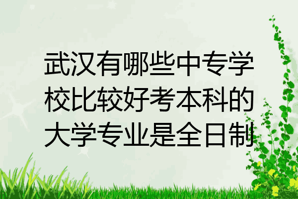 武汉有哪些中专学校比较好考本科的大学专业是全日制