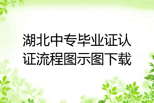 湖北中专毕业证认证流程图示图下载