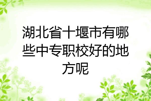 湖北省十堰市有哪些中专职校好的地方呢