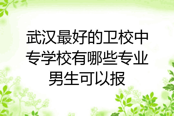武汉最好的卫校中专学校有哪些专业男生可以报
