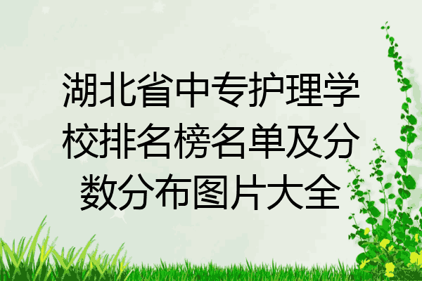 湖北省中专护理学校排名榜名单及分数分布图片大全