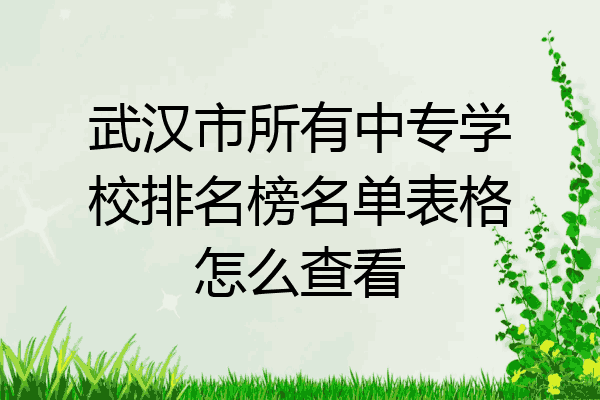武汉市所有中专学校排名榜名单表格怎么查看
