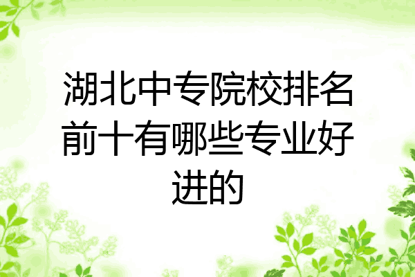 湖北中专院校排名前十有哪些专业好进的