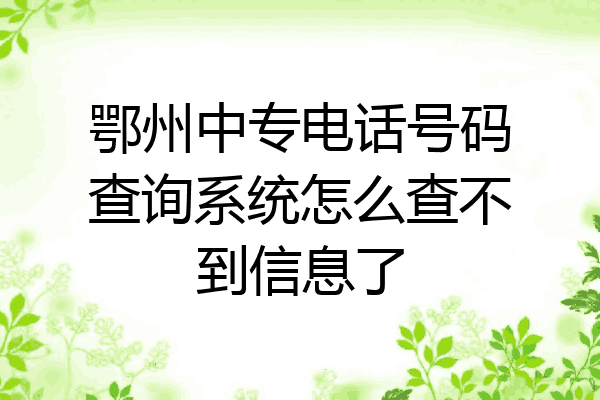 鄂州中专电话号码查询系统怎么查不到信息了