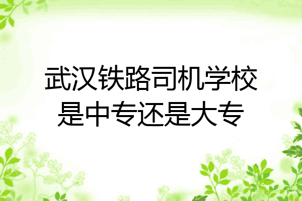 武汉铁路司机学校是中专还是大专