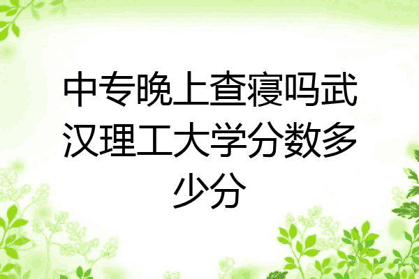 中专晚上查寝吗武汉理工大学分数多少分
