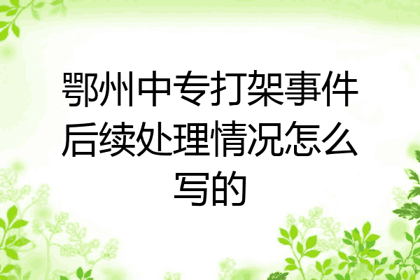 鄂州中专打架事件后续处理情况怎么写的