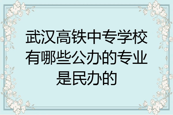 武汉高铁中专学校有哪些公办的专业是民办的