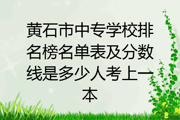 黄石市中专学校排名榜名单表及分数线是多少人考上一本