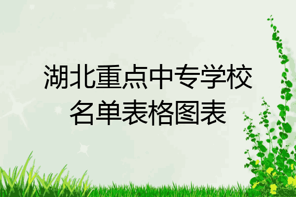 湖北重点中专学校名单表格图表