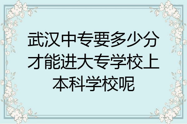 武汉中专要多少分才能进大专学校上本科学校呢