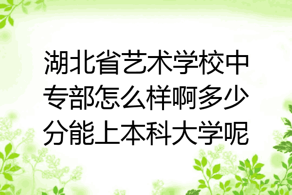 湖北省艺术学校中专部怎么样啊多少分能上本科大学呢