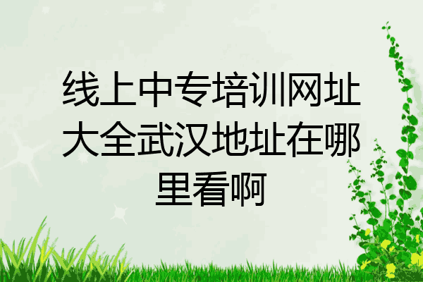 线上中专培训网址大全武汉地址在哪里看啊