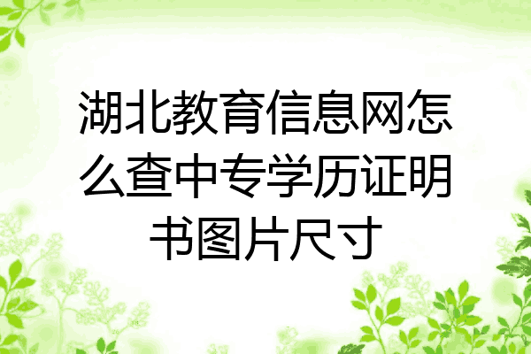 湖北教育信息网怎么查中专学历证明书图片尺寸