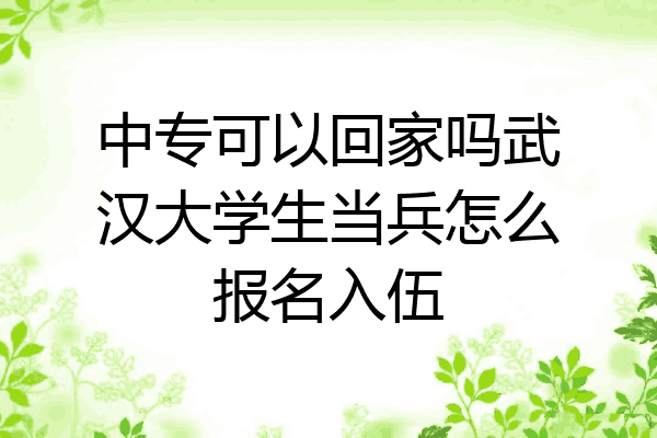 中专可以回家吗武汉大学生当兵怎么报名入伍