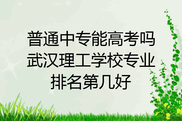 普通中专能高考吗武汉理工学校专业排名第几好