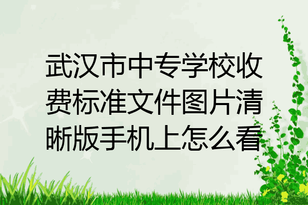 武汉市中专学校收费标准文件图片清晰版手机上怎么看